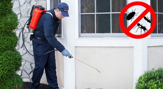 Lapseki Kene İlaçlama böcek ilaçlama ve haşere kontrolü — ilaclama-tr.com